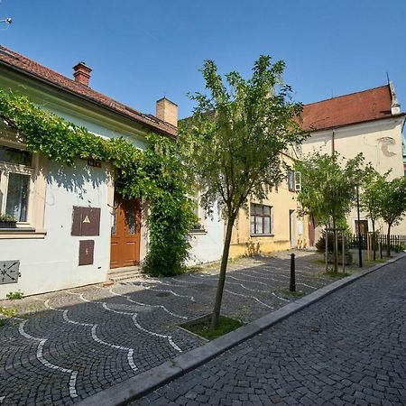 Appartement Krejcovstvi à Mělník Extérieur photo