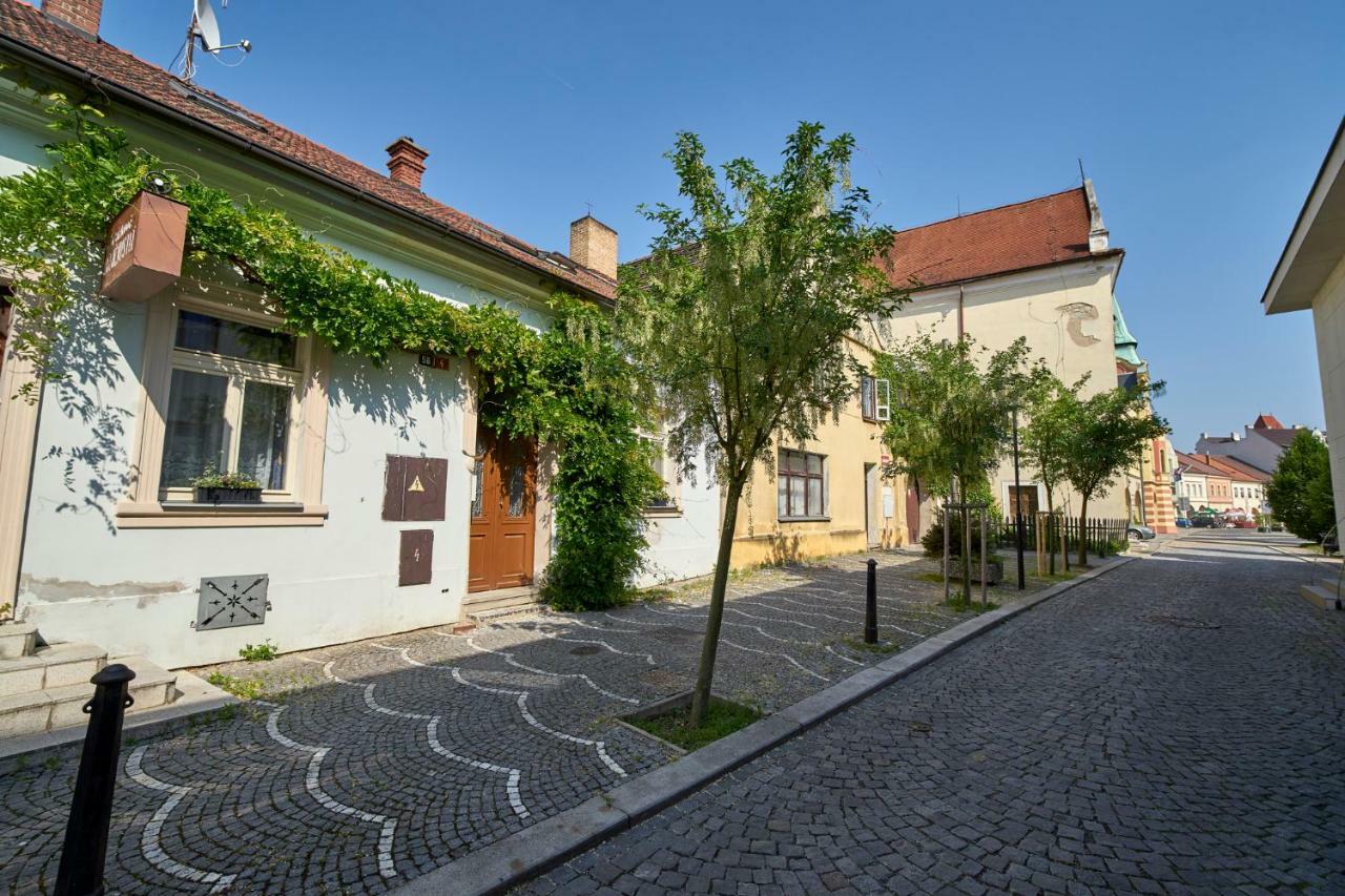 Appartement Krejcovstvi à Mělník Extérieur photo